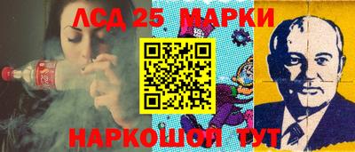 шишки Заволжье