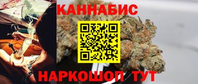 шишки Заволжье