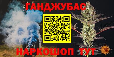 шишки Заволжье