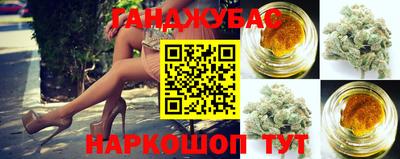 шишки Заволжье