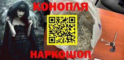 шишки Заволжье