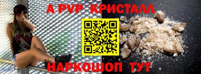 шишки Заволжье