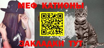 шишки Заволжье