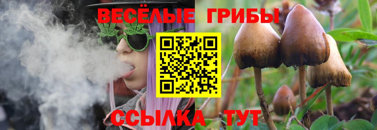 как найти закладки  Псилоцибиновые грибы ЛСД  Вход с VPN  Псилоцибиновые грибы Psilocybine cubensis  Кудрово 
